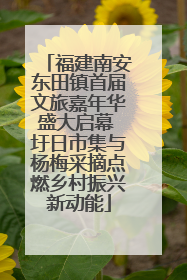 福建南安东田镇首届文旅嘉年华盛大启幕 圩日市集与杨梅采摘点燃乡村振兴新动能