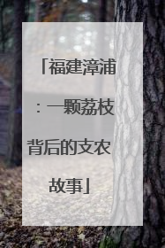 福建漳浦：一颗荔枝背后的支农故事