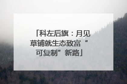科左后旗：月见草铺就生态致富“可复制”新路