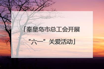 秦皇岛市总工会开展“六一”关爱活动