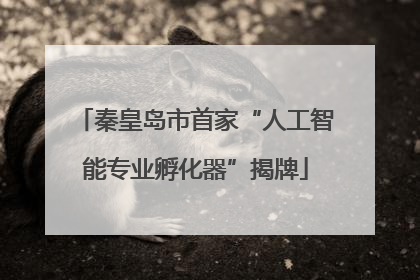 秦皇岛市首家“人工智能专业孵化器”揭牌
