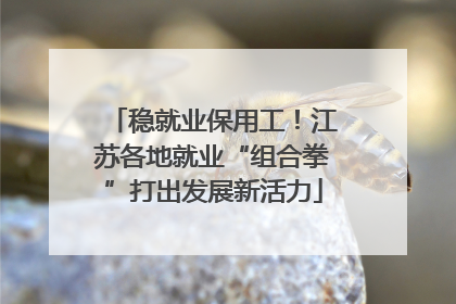 稳就业保用工！江苏各地就业“组合拳”打出发展新活力