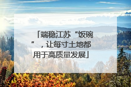 端稳江苏“饭碗”，让每寸土地都用于高质量发展