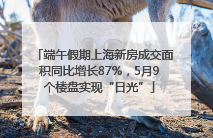 端午假期上海新房成交面积同比增长87%，5月9个楼盘实现“日光”