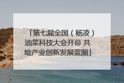 第七届全国（杨凌）油菜科技大会开幕 共绘产业创新发展蓝图
