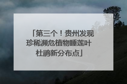 第三个！贵州发现珍稀濒危植物睡莲叶杜鹃新分布点