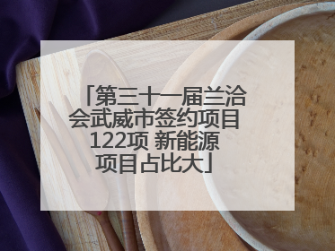 第三十一届兰洽会武威市签约项目122项 新能源项目占比大