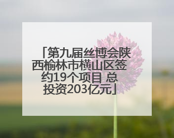 第九届丝博会陕西榆林市横山区签约19个项目 总投资203亿元