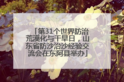 第31个世界防治荒漠化与干旱日，山东省防沙治沙经验交流会在东阿县举办