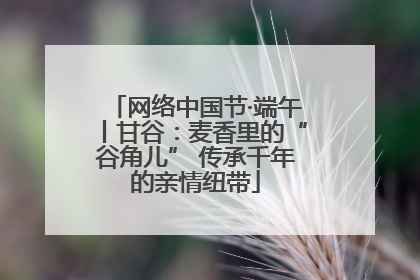 网络中国节·端午丨甘谷：麦香里的“谷角儿” 传承千年的亲情纽带