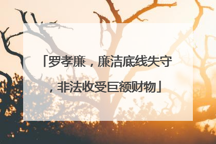 罗孝廉，廉洁底线失守，非法收受巨额财物