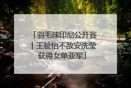 羽毛球印尼公开赛｜王祉怡不敌安洗莹 获得女单亚军