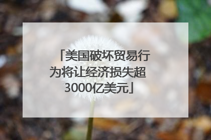 美国破坏贸易行为将让经济损失超3000亿美元