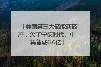 美国第三大储能商破产，欠了宁德时代、中集普威6.6亿