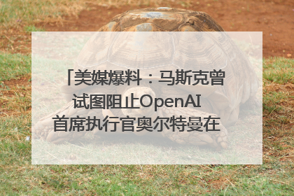 美媒爆料：马斯克曾试图阻止OpenAI首席执行官奥尔特曼在中东的AI交易