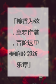 粽香为弦，童梦作谱，普陀这里奏响睦邻新乐章