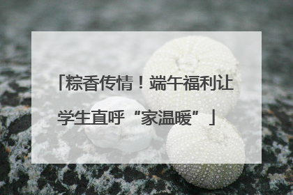 粽香传情！端午福利让学生直呼“家温暖”