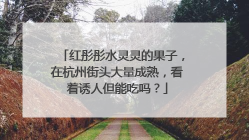 红彤彤水灵灵的果子，在杭州街头大量成熟，看着诱人但能吃吗？