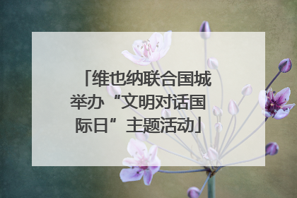 维也纳联合国城举办“文明对话国际日”主题活动