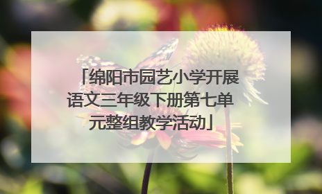 绵阳市园艺小学开展语文三年级下册第七单元整组教学活动