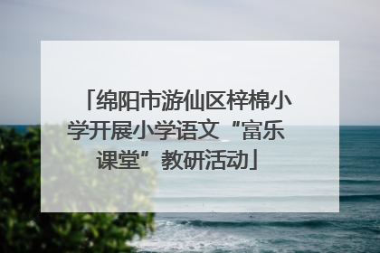 绵阳市游仙区梓棉小学开展小学语文“富乐课堂”教研活动
