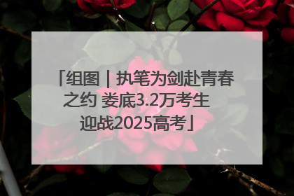 组图｜执笔为剑赴青春之约 娄底3.2万考生迎战2025高考