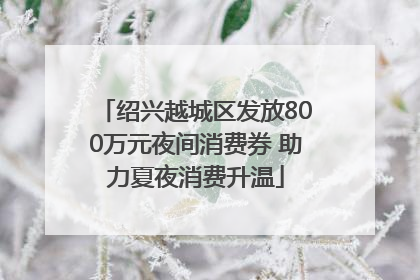 绍兴越城区发放800万元夜间消费券 助力夏夜消费升温