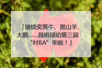 继续奖黄牛、黑山羊、大鹅……昆明禄劝第三届“村BA”来啦！