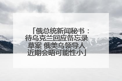 俄总统新闻秘书：待乌克兰回应备忘录草案 俄美乌领导人近期会晤可能性小