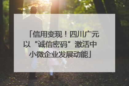 信用变现！四川广元以“诚信密码”激活中小微企业发展动能