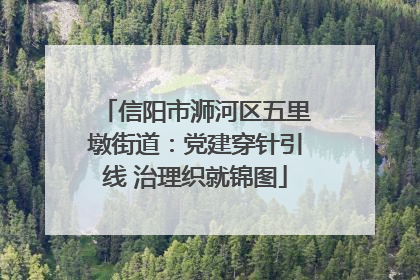 信阳市浉河区五里墩街道：党建穿针引线 治理织就锦图