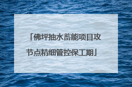 佛坪抽水蓄能项目攻节点精细管控保工期