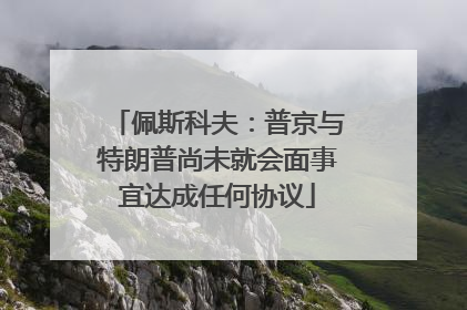 佩斯科夫：普京与特朗普尚未就会面事宜达成任何协议