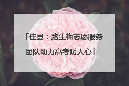 佳县：路生梅志愿服务团队助力高考暖人心