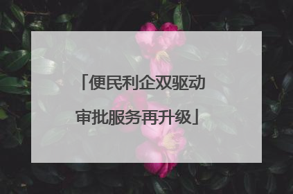 便民利企双驱动 审批服务再升级