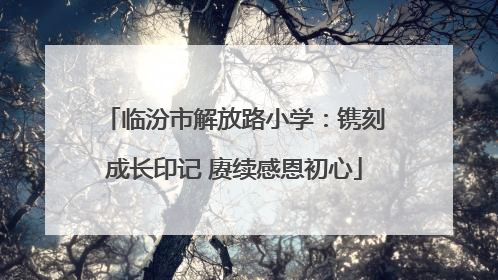 临汾市解放路小学：镌刻成长印记 赓续感恩初心