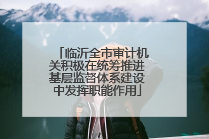 临沂全市审计机关积极在统筹推进基层监督体系建设中发挥职能作用