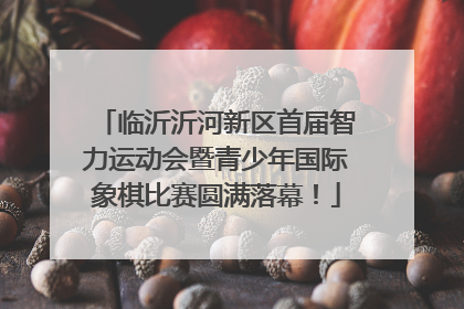 临沂沂河新区首届智力运动会暨青少年国际象棋比赛圆满落幕！