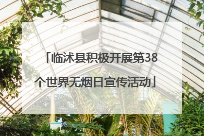临沭县积极开展第38个世界无烟日宣传活动