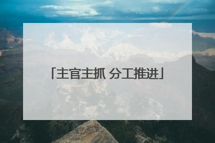 主官主抓 分工推进