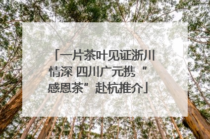 一片茶叶见证浙川情深 四川广元携“感恩茶”赴杭推介
