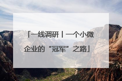 一线调研丨一个小微企业的“冠军”之路