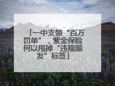 一中支领“百万罚单”，紫金保险何以甩掉“违规频发”标签