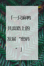 一只麻鸭共富路上的发展“密码”