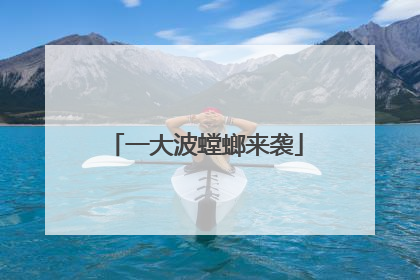 一大波螳螂来袭