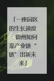 一座园区的生长速度：德州如何靠产业链“链”出新未来