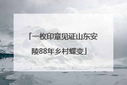 一枚印章见证山东安陵88年乡村蝶变