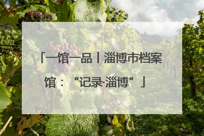 一馆一品丨淄博市档案馆：“记录·淄博”