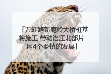 万虹路新庵岭大桥桩基将施工 带动洛江北部片区4个乡镇的发展