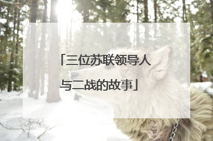 三位苏联领导人与二战的故事